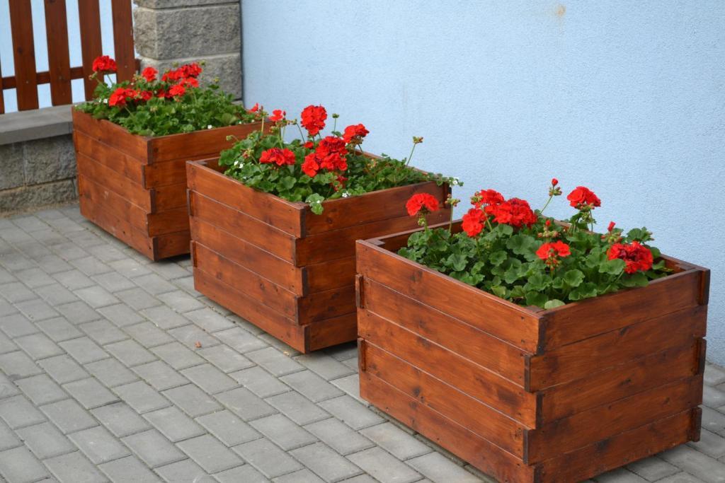 Levandule Brno Zewnętrze zdjęcie
