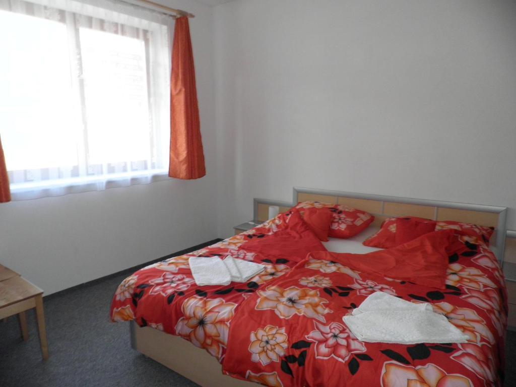 Levandule Brno Pokój zdjęcie